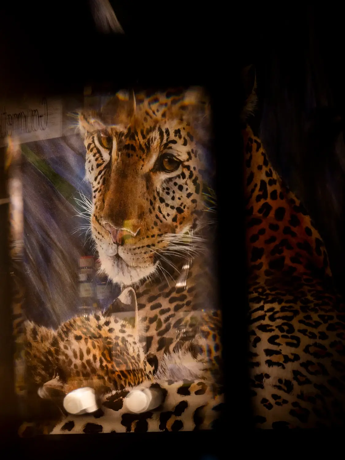 leopard-reflection